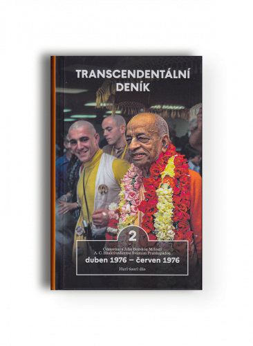 Transcedentální deník 2